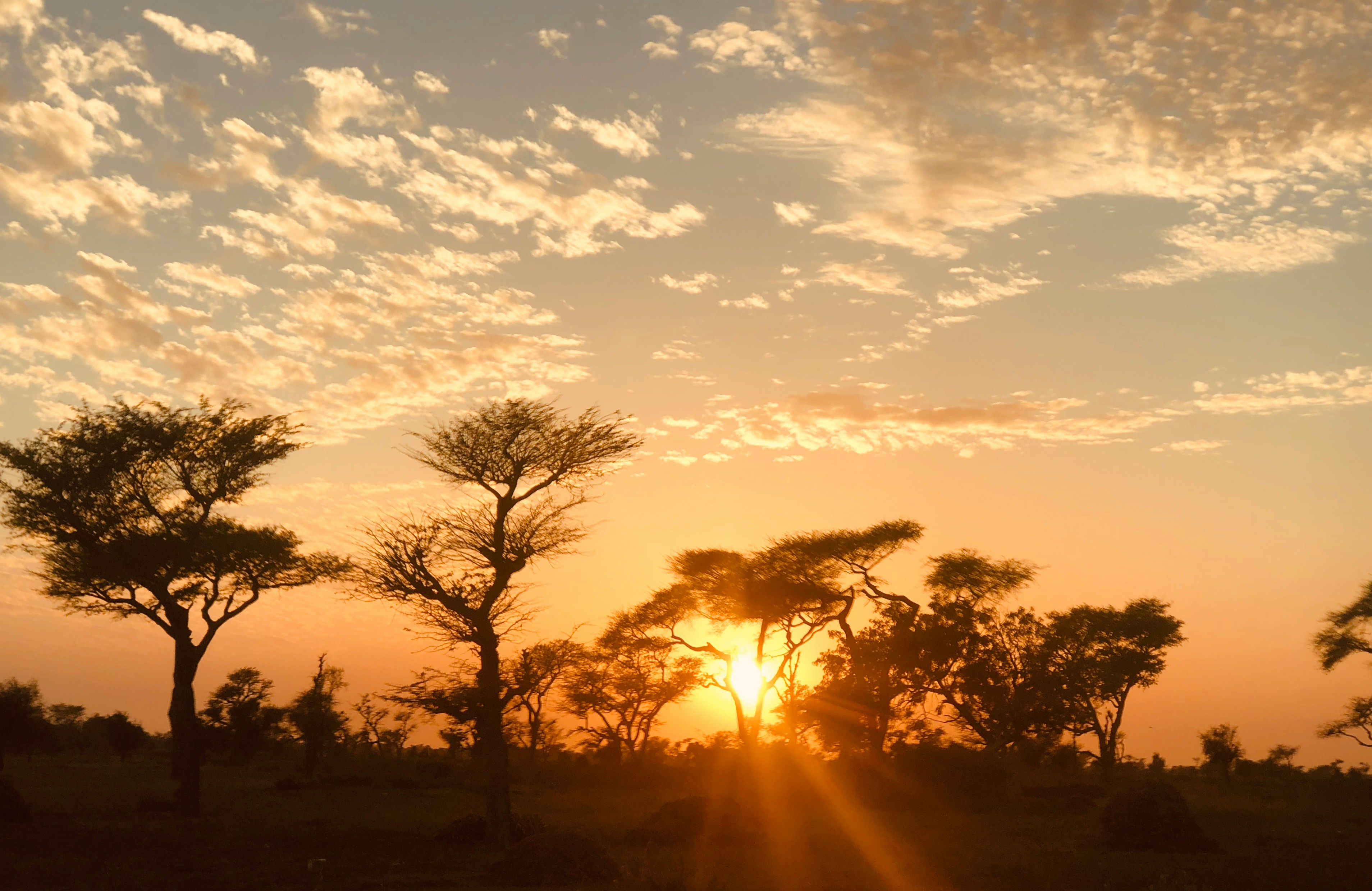 Coucher de soleil sur la savane sénégalaise